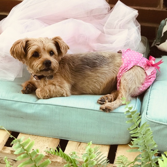 Meet your Posher, - Picture 6 of 11